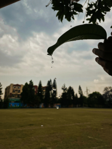 Brain Strain ( Middle School ) Inter-House Photography Contest