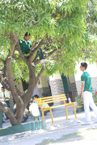Brain Strain - Inter House Middle School Photography Contest