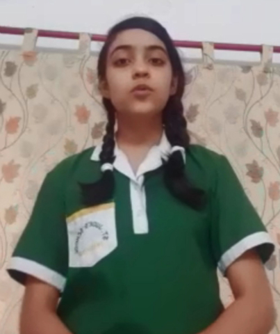 Inter House Middle School Online Brain Strain Debate 2020